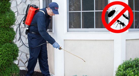Balya Hamam Böceği İlaçlama böcek ilaçlama ve haşere kontrolü — ilaclama-tr.com